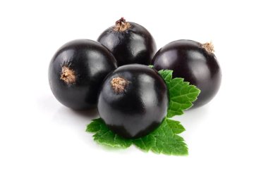 Beyaz zemin üzerinde yaprak izole siyah frenk üzümü
