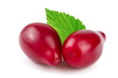 Cornel veya kızılcık yaprak beyaz arka plan üzerinde izole kırmızı meyveler