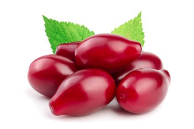 Cornel veya kızılcık yaprak beyaz arka plan üzerinde izole kırmızı meyveler