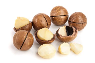 Kabuklu ve kabuksuz Macadamia fındıkları beyaz arka planda izole edilmiş.