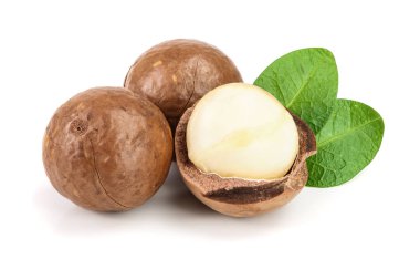 Kabuklu ve unshelled macadamia fıstığı ile yaprakları üzerinde izole beyaz arka plan