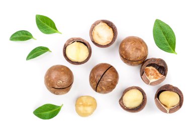 Kabuklu ve unshelled macadamia fıstığı ile izole üzerinde beyaz arka plan bırakır. Üstten görünüm. Düz yatıyordu desen