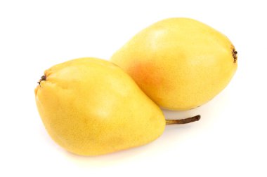 Beyaz arka plan üzerinde izole iki olgun sarı armut meyve.