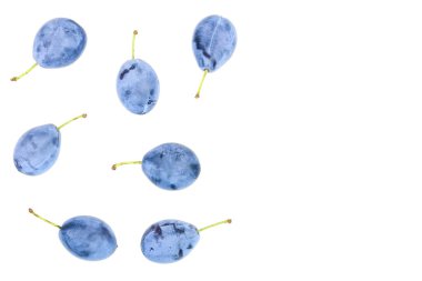 metniniz için kopya alanı ile beyaz bir arka plan üzerinde izole Erik. Üstten görünüm. Düz yatıyordu desen