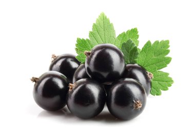 Beyaz zemin üzerinde yaprak izole siyah frenk üzümü