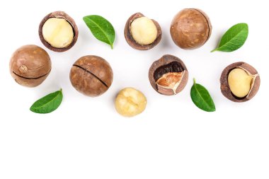 Kabuklu ve unshelled macadamia fıstığı ile kopya alanı metni ile izole üzerinde beyaz arka plan bırakır. Üstten görünüm. Düz yatıyordu desen