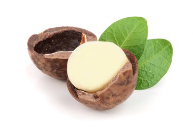 Beyaz arka plan üzerinde izole yaprakları ile Kabuklu fıstık