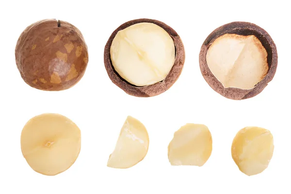 Nueces de macadamia sin cáscara y sin cáscara aisladas sobre fondo blanco. Conjunto o colección. Vista superior. Patrón de colocación plana — Foto de Stock