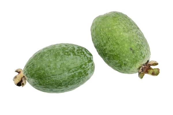 Tropisk frukt feijoa Acca sellowiana isolerad på vit bakgrund. Ovanifrån. Lägenheten låg mönster — Stockfoto