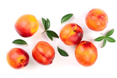 Olgun nektarin ile izole üzerinde beyaz arka plan bırakır. Üstten görünüm. Düz yatıyordu desen