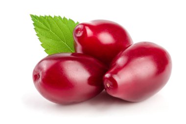 Cornel veya kızılcık yaprak beyaz arka plan üzerinde izole kırmızı meyveler