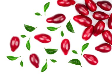 Cornel veya kızılcık sopası ile dekore edilmiş kırmızı meyveler üzerinde izole beyaz arka plan bırakır. Üstten görünüm. Düz yatıyordu