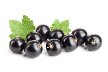 Beyaz zemin üzerinde yaprak izole siyah frenk üzümü