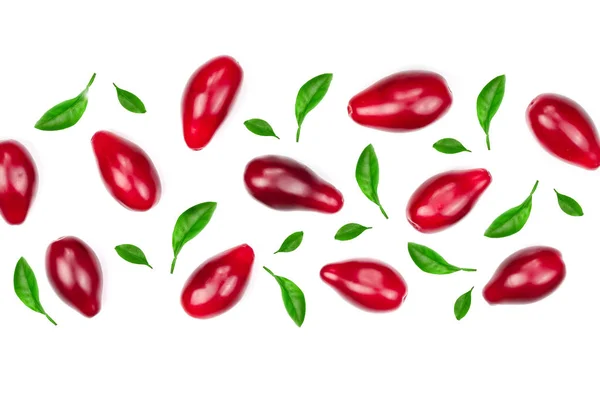 Czerwone jagody cornel lub dereń urządzone z zielonych liści na białym tle na białym tle z miejsca kopiowania tekstu. Widok z góry. Leżał z płaskim — Zdjęcie stockowe