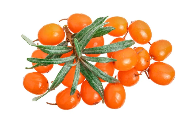 Sea buckthorn. Fresh ripe berry with leaves isolated on white background. Top view. Flat lay pattern — Stock Photo, Image