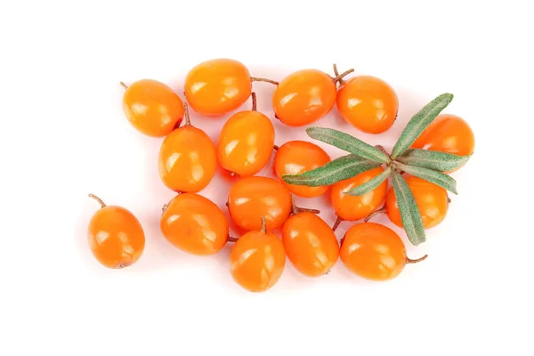 Sea buckthorn. Fresh ripe berry with leaves isolated on white background. Top view. Flat lay pattern — Stock Photo, Image