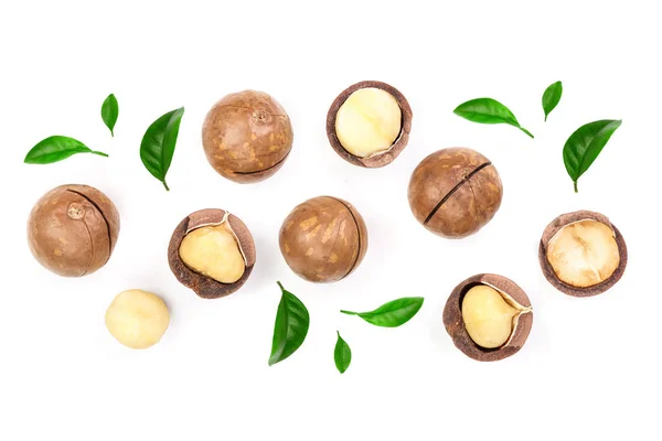 Ξεφλουδισμένος και unshelled καρύδια macadamia με φύλλα απομονωθεί σε λευκό φόντο με αντίγραφο χώρο για το κείμενό σας. Το Top view. Επίπεδη lay μοτίβο — Φωτογραφία Αρχείου