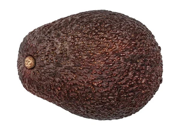 Un intero avocado isolato su sfondo bianco — Foto Stock