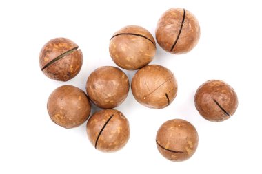 unshelled fıstık beyaz arka plan üzerinde izole. Üstten görünüm. Düz yatıyordu desen