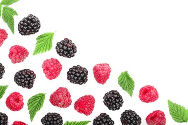 BlackBerry ve ahududu ile kopya alanı metni ile izole üzerinde beyaz arka plan bırakır. Üstten görünüm. Düz yatıyordu desen