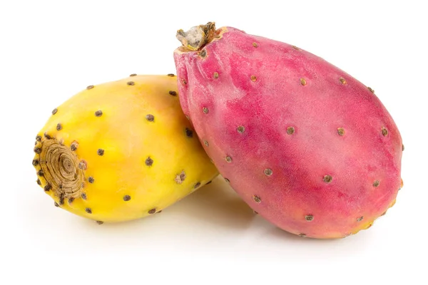 Red end yellow prickly pear or opuntia isolated on a white background — Stock Photo, Image