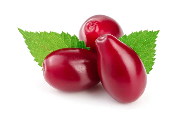 Baies rouges de cornouiller ou cornouiller avec feuille isolée sur fond blanc — Photo