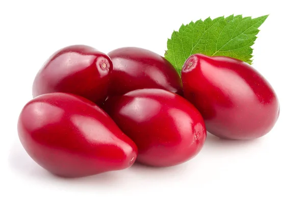 Rote Beeren von Kornelkirsche oder Hartriegel mit Blättern auf weißem Hintergrund — Stockfoto