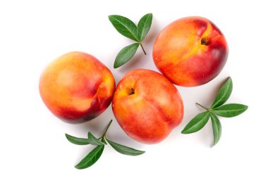 Olgun nektarin ile izole üzerinde beyaz arka plan bırakır. Üstten görünüm. Düz yatıyordu desen