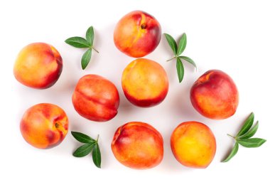 Olgun nektarin ile izole üzerinde beyaz arka plan bırakır. Üstten görünüm. Düz yatıyordu desen