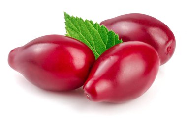 Cornel veya kızılcık yaprak beyaz arka plan üzerinde izole kırmızı meyveler