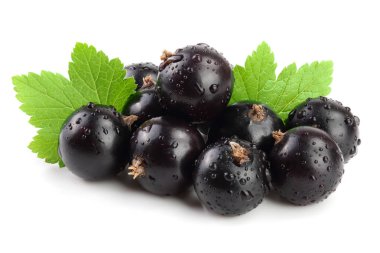 Beyaz zemin üzerinde yaprak izole siyah frenk üzümü