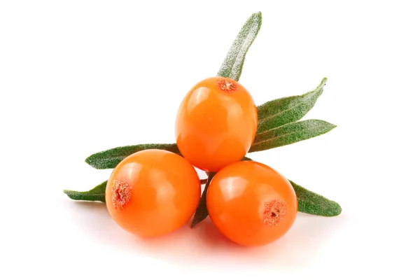 Sea buckthorn. Fresh ripe berry with leaves isolated on white background macro — Stock Photo, Image