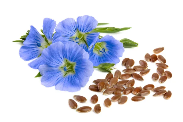 Beyaz arkaplandaki çiçekli keten tohumları