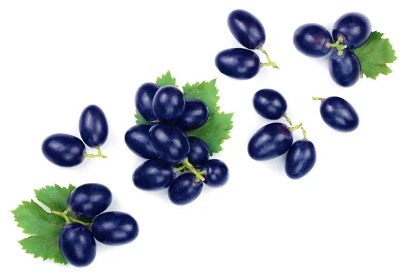Bue uva wih foglie isolate sullo sfondo bianco con spazio di copia per il testo. Vista dall'alto. Modello di posa piatta — Foto Stock
