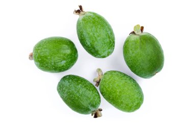 Beyaz arka plan üzerinde izole tropikal meyve feijoa kaymak ağacı. Üstten görünüm. Düz yatıyordu desen
