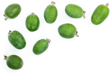 Kopya alanı metniniz için beyaz zemin üzerine izole tropikal meyve feijoa kaymak ağacı. Üstten görünüm. Düz yatıyordu desen
