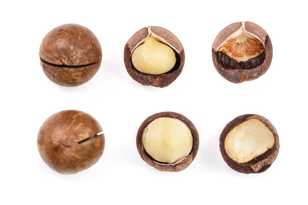 Nueces de macadamia sin cáscara y sin cáscara aisladas sobre fondo blanco. Vista superior. Patrón plano. Conjunto o colección — Foto de Stock