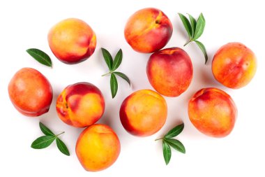 Olgun nektarin ile izole üzerinde beyaz arka plan bırakır. Üstten görünüm. Düz yatıyordu desen