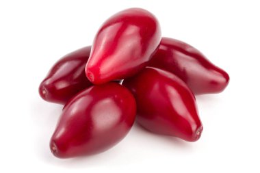 Cornel veya kızılcık beyaz arka plan üzerinde izole kırmızı meyveler