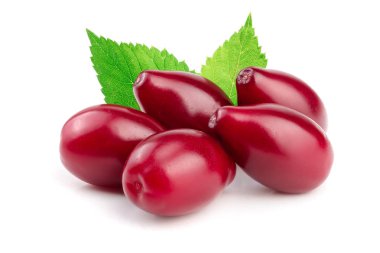 Cornel veya kızılcık yaprak beyaz arka plan üzerinde izole kırmızı meyveler