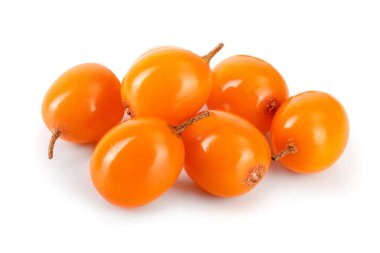 Deniz topalak. Beyaz arka plan makro'izole taze olgun berry