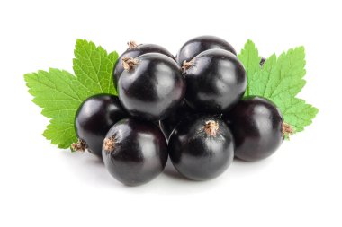 Beyaz zemin üzerinde yaprak izole siyah frenk üzümü