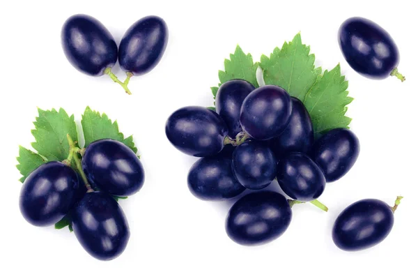 Uvas azules con hojas aisladas sobre el fondo blanco. Vista superior. Patrón de colocación plana —  Fotos de Stock