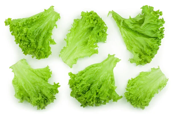 Лист салату ізольований на білому тлі крупним планом. Набір або збірка — стокове фото