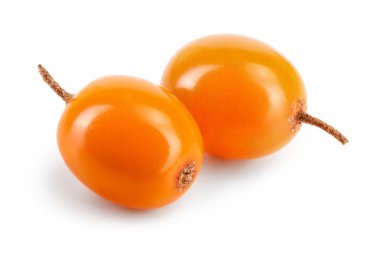 Deniz topalak. Beyaz arka plan makro'izole taze olgun berry