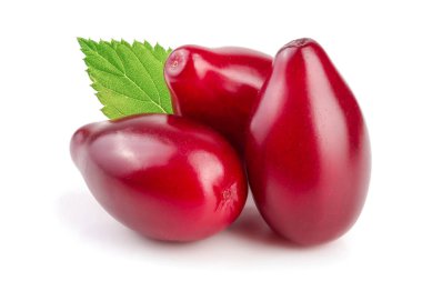 Cornel veya kızılcık yaprak beyaz arka plan üzerinde izole kırmızı meyveler