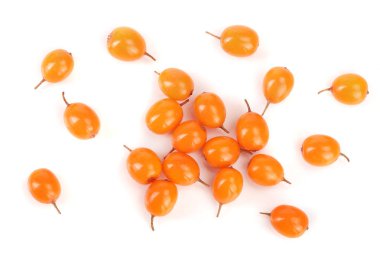 Deniz topalak. Beyaz arka plan üzerinde izole taze olgunlaşmış meyve. Üstten görünüm. Düz yatıyordu desen