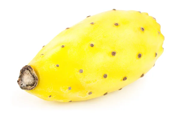 Poire piquante jaune ou opuntia isolé sur un fond blanc — Photo