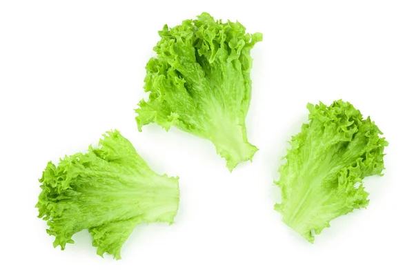 Saláta levél elszigetelt fehér background közelről. Készlet vagy gyűjtemény — Stock Fotó