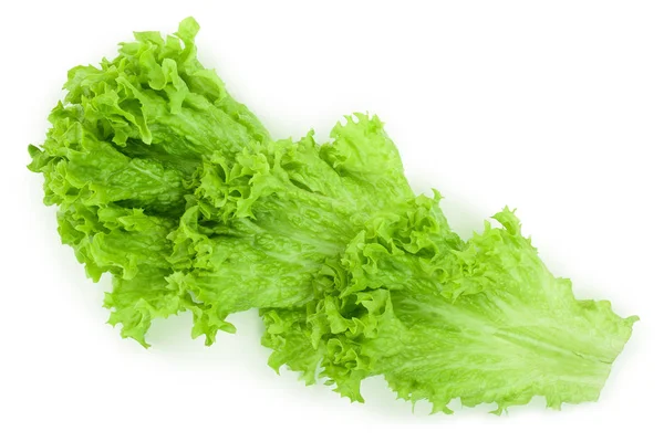Лист салата, выделенный на белом фоне — стоковое фото